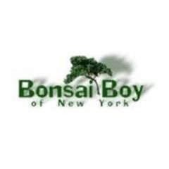 Bonsai Boy Of New York